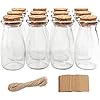 12pcs 3.4oz Small Glass Jars with Lids, 100ml Candy Jars Potion Bottles with Cork, Mini Jars Set for Party Wedding Favors Halloween Décor