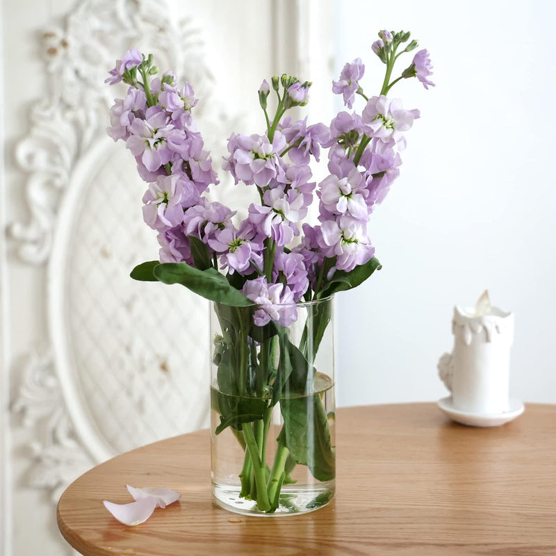 12pcs Glass Cylinder Vases for Centerpieces, Flower Vases Wedding Decorations, 6 Inch Tall Glass Candle Holder for Table Shelf, Floral Vase Bulk for Home Decor