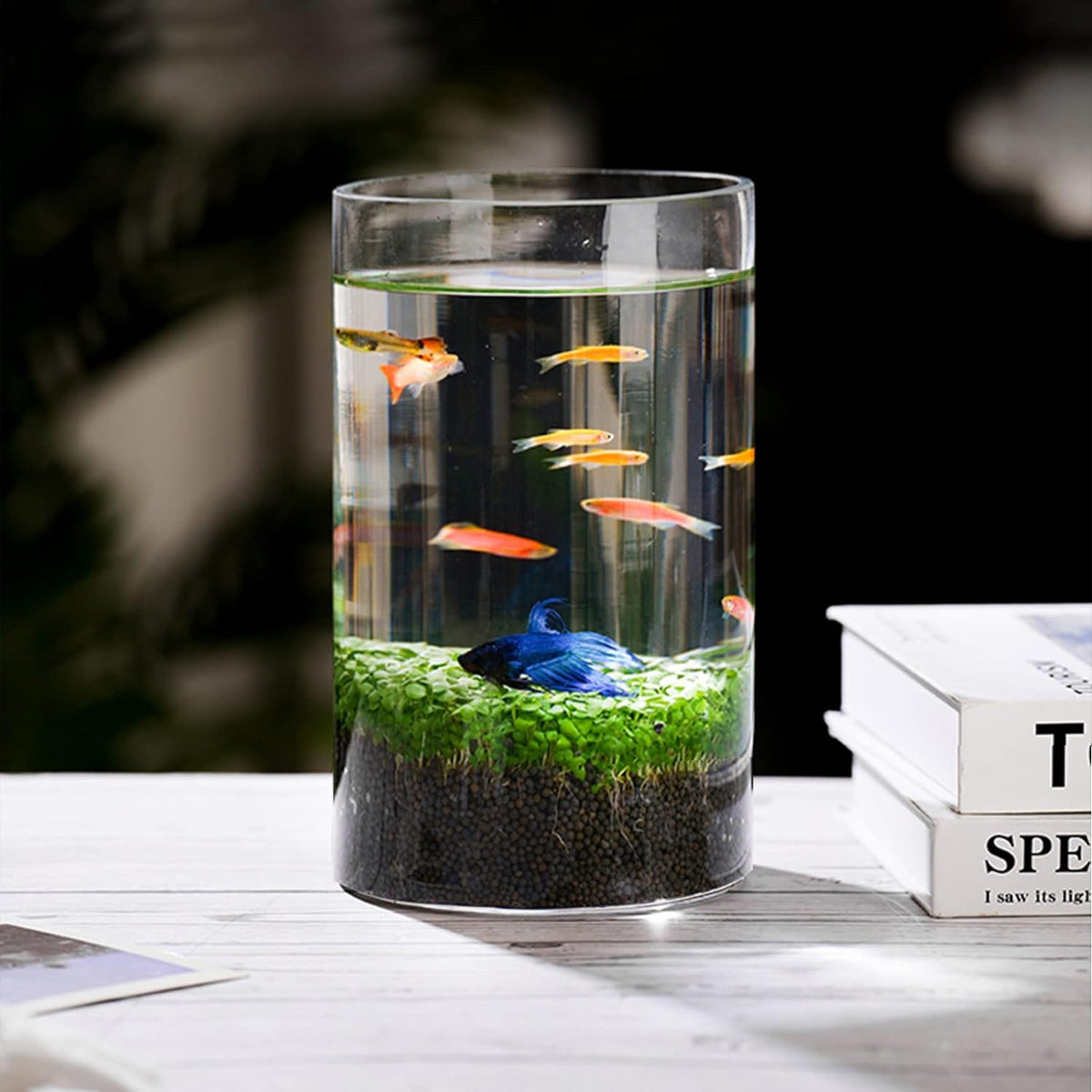 12pcs Glass Cylinder Vases for Centerpieces, Flower Vases Wedding Decorations, 6 Inch Tall Glass Candle Holder for Table Shelf, Floral Vase Bulk for Home Decor