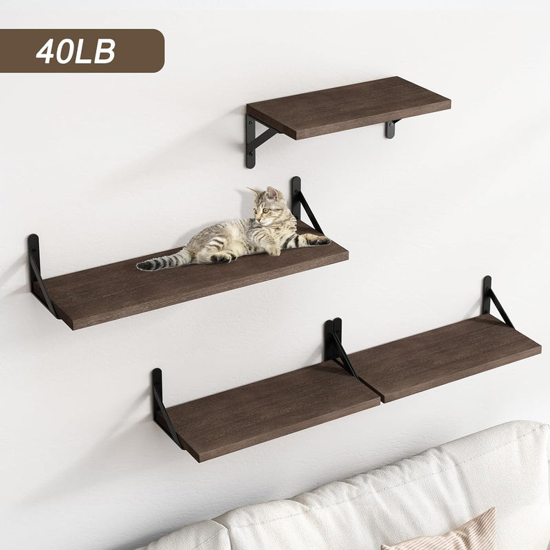 Floating Shelves for Wall, Different Sizes Walnut Wall Shelves for Living Room, Bathroom, Bedroom, Kitchen, Home Decor (Set of 4)