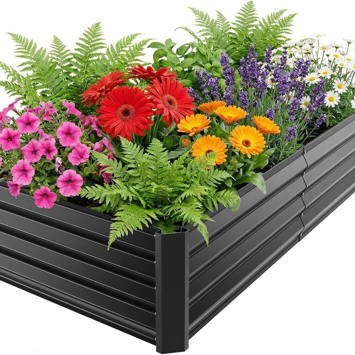 4x2x1ft(2 Pack) Black Metal Raised Garden Beds, Thickened Color Steel Planter Box for Outdoor Vegetables & Flowers, 48" L x 24" W x 12" H