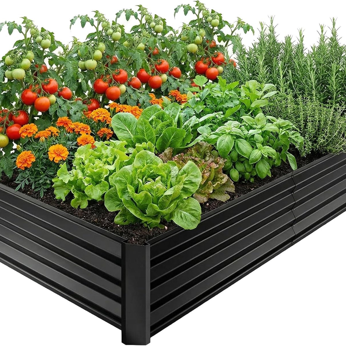 6x3x1ft Black Metal Raised Garden Beds, Thickened Color Steel Planter Box for Outdoor Vegetables & Flowers, 72" L x 36" W x 12" H