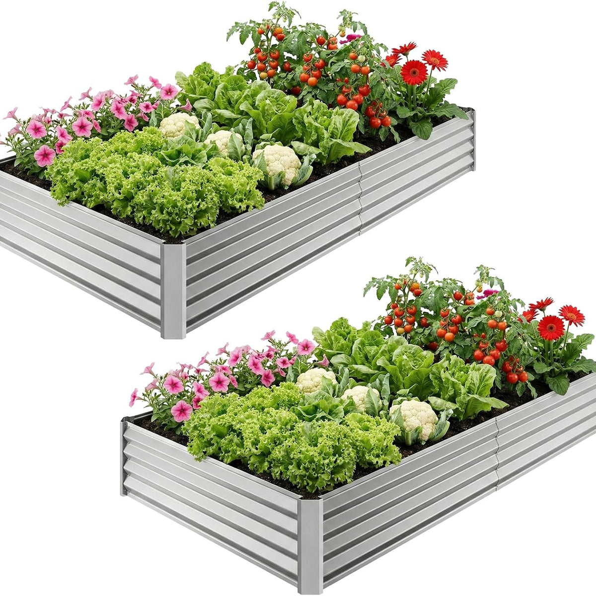 6x3x1ft(2 Pack) Galvanized Raised Garden Beds, Thickened Metal Planter Box for Outdoor Vegetables & Flowers, 72" L x 36" W x 12" H