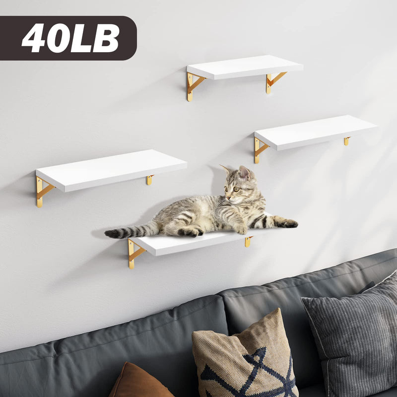 SUPERLELE Set of 4 Floating Wall Shelves in MDF Wall Mounted Shelves